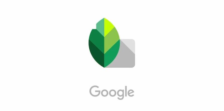 Snapseed برای ادیت عکس محصول با موبایل